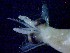  ( - E4-O4)  @11 [ ] Unspecified (default): All Rights Reserved (2021) J.Groeneveld Oceanographic Research Institute
