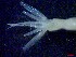  ( - E4-O4)  @11 [ ] Unspecified (default): All Rights Reserved (2021) J.Groeneveld Oceanographic Research Institute