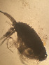  ( - CRAG64)  @11 [ ] Unspecified (default): All Rights Reserved (2023) Riaan University of the Western Cape