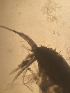  ( - CRAG64)  @11 [ ] Unspecified (default): All Rights Reserved (2023) Riaan University of the Western Cape