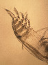  ( - CRAG74)  @11 [ ] Unspecified (default): All Rights Reserved (2023) Riaan University of the Western Cape