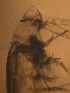  ( - CRAG93)  @11 [ ] Unspecified (default): All Rights Reserved (2023) Riaan University of the Western Cape