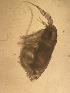  ( - CRAG95)  @11 [ ] Unspecified (default): All Rights Reserved (2023) Riaan University of the Western Cape