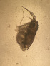  ( - CRAG95)  @11 [ ] Unspecified (default): All Rights Reserved (2023) Riaan University of the Western Cape
