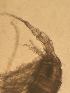  ( - CRAG95)  @11 [ ] Unspecified (default): All Rights Reserved (2023) Riaan University of the Western Cape
