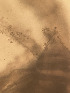  ( - CRAG95)  @11 [ ] Unspecified (default): All Rights Reserved (2023) Riaan University of the Western Cape