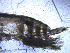  ( - CRAG72)  @11 [ ] Unspecified (default): All Rights Reserved (2023) Riaan University of the Western Cape