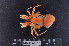  ( - MB-A066610)  @11 [ ] CreativeCommons - Attribution Share-Alike (2024) Jannes Landschoff The Sea Change Project