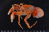  ( - MB-A066610)  @11 [ ] CreativeCommons - Attribution Share-Alike (2024) Jannes Landschoff The Sea Change Project