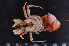  ( - MB-A066610)  @11 [ ] CreativeCommons - Attribution Share-Alike (2024) Jannes Landschoff The Sea Change Project