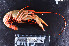  ( - MB-A066551)  @11 [ ] CreativeCommons - Attribution Share-Alike (2024) Jannes Landschoff The Sea Change Project