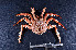  ( - MB-A066570)  @11 [ ] CreativeCommons - Attribution Share-Alike (2024) Jannes Landschoff The Sea Change Project