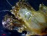  ( - CRDN107)  @11 [ ] Attribution by P. Govender (2021) J.Groeneveld Oceanographic Research Institute