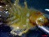  ( - CRDN107)  @11 [ ] Attribution by P. Govender (2021) J.Groeneveld Oceanographic Research Institute