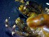  ( - CRDN107)  @11 [ ] Attribution by P. Govender (2021) J.Groeneveld Oceanographic Research Institute