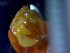  ( - CRDN107)  @11 [ ] Attribution by P. Govender (2021) J.Groeneveld Oceanographic Research Institute