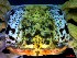  ( - CRDN131)  @11 [ ] Attribution by P. Govender (2021) J.Groeneveld Oceanographic Research Institute