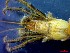  ( - CRDN165)  @11 [ ] Attribution by P. Govender (2021) J.Groeneveld Oceanographic Research Institute