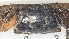  ( - CRDN65)  @11 [ ] Attribution by P. Govender (2021) J.Groeneveld Oceanographic Research Institute