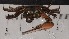  ( - CRDN65)  @11 [ ] Attribution by P. Govender (2021) J.Groeneveld Oceanographic Research Institute