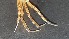  ( - CRDN81)  @11 [ ] Attribution by P. Govender (2021) J.Groeneveld Oceanographic Research Institute