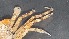  ( - CRDN82)  @11 [ ] Attribution by P. Govender (2021) J.Groeneveld Oceanographic Research Institute