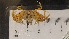  ( - CRDN86)  @11 [ ] Attribution by P. Govender (2021) J.Groeneveld Oceanographic Research Institute