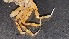  ( - CRDN86)  @11 [ ] Attribution by P. Govender (2021) J.Groeneveld Oceanographic Research Institute