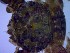  ( - SM-AG-16)  @11 [ ] Attribution by P. Govender (2021) J.Groeneveld Oceanographic Research Institute
