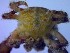  ( - SM-AG-16)  @11 [ ] Attribution by P. Govender (2021) J.Groeneveld Oceanographic Research Institute