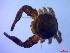  ( - SM-AG-17)  @11 [ ] Attribution by P. Govender (2021) J.Groeneveld Oceanographic Research Institute