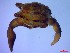  ( - SM-AG-17)  @11 [ ] Attribution by P. Govender (2021) J.Groeneveld Oceanographic Research Institute