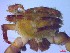  ( - SM-AG-17)  @11 [ ] Attribution by P. Govender (2021) J.Groeneveld Oceanographic Research Institute