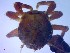  ( - SM-AG-18)  @11 [ ] Attribution by P. Govender (2021) J.Groeneveld Oceanographic Research Institute