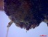  ( - SM-AG-18)  @11 [ ] Attribution by P. Govender (2021) J.Groeneveld Oceanographic Research Institute