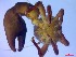  ( - SM-AG-18)  @11 [ ] Attribution by P. Govender (2021) J.Groeneveld Oceanographic Research Institute