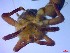  ( - SM-AG-18)  @11 [ ] Attribution by P. Govender (2021) J.Groeneveld Oceanographic Research Institute