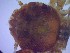  ( - SM-AG-19)  @11 [ ] Attribution by P. Govender (2021) J.Groeneveld Oceanographic Research Institute