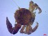  ( - SM-AG-19)  @11 [ ] Attribution by P. Govender (2021) J.Groeneveld Oceanographic Research Institute