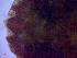  ( - SM-AG-19)  @11 [ ] Attribution by P. Govender (2021) J.Groeneveld Oceanographic Research Institute