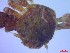  ( - SM-AG-20)  @11 [ ] Attribution by P. Govender (2021) J.Groeneveld Oceanographic Research Institute