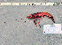  ( - RPRN1)  @11 [ ] cc-by-sa (2024) Oceanographic Research Institute Oceanographic Research Institute
