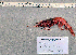  ( - RPRN2)  @11 [ ] cc-by-sa (2024) Oceanographic Research Institute Oceanographic Research Institute