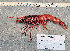  ( - RPRN3)  @11 [ ] cc-by-sa (2024) Oceanographic Research Institute Oceanographic Research Institute