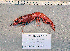  ( - RPRN4)  @11 [ ] cc-by-sa (2024) Oceanographic Research Institute Oceanographic Research Institute