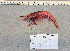  ( - RPRN5)  @11 [ ] cc-by-sa (2024) Oceanographic Research Institute Oceanographic Research Institute