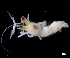  ( - ESS-B-1030)  @11 [ ] cc-by-sa (2024) Oceanographic Research Institute Oceanographic Research Institute