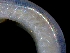  ( - ESS-B-1077)  @11 [ ] cc-by-sa (2024) Oceanographic Research Institute Oceanographic Research Institute