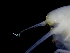  ( - ESS-B-1092)  @11 [ ] cc-by-sa (2024) Oceanographic Research Institute Oceanographic Research Institute