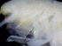  ( - ESS-B-1092)  @11 [ ] cc-by-sa (2024) Oceanographic Research Institute Oceanographic Research Institute